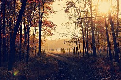 Herbstlich