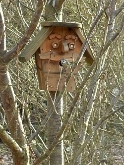 Vogelhaus