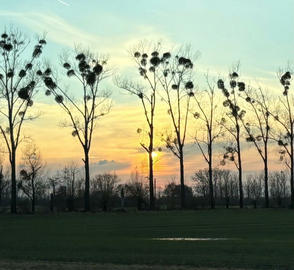 Sunrise